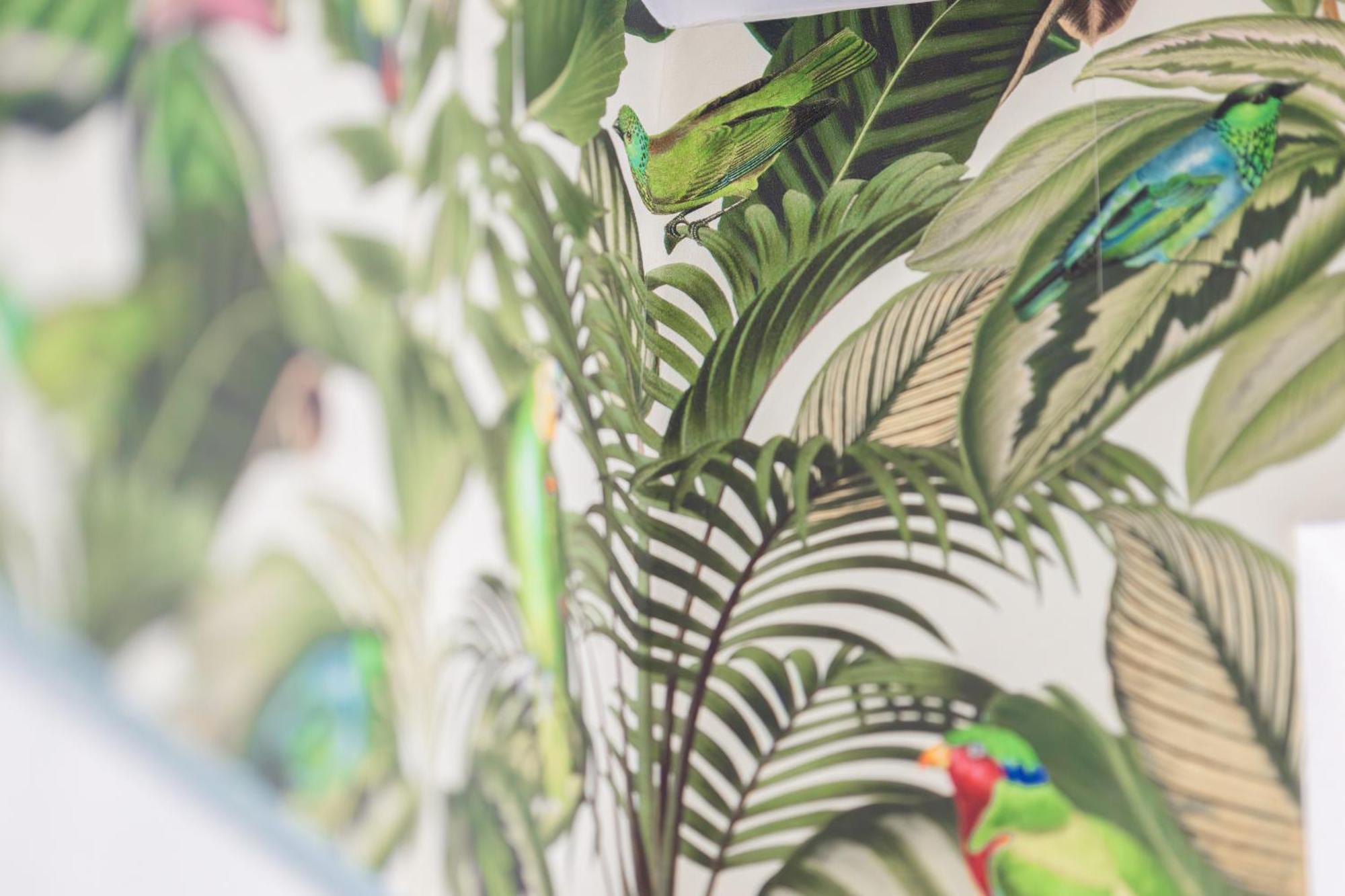 Stay Awesome - Urban Jungle Apartment Zentral, Wilhelmshoehe カッセル エクステリア 写真